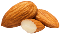 bdg134-almonds-2(1)
