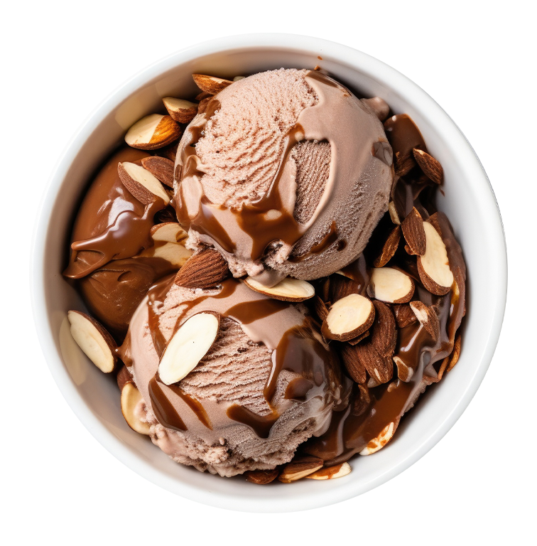 chocolate gelato with almonds